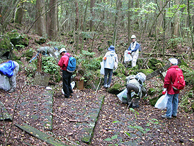 �N���[�������C���[�W1