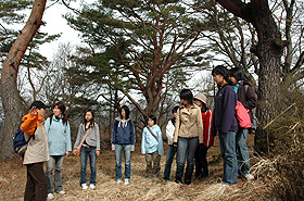 �؃������C�C���[�W