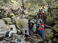 ���v���ł̃c�A�[