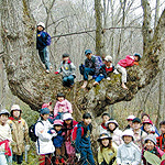 �܎R���R�w�Z