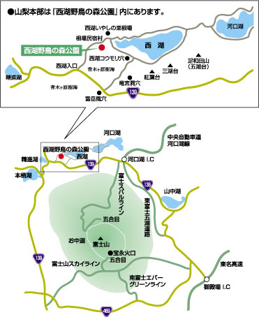 NPO富士山エコネットへの地図